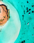Coral Bay Birds Eye