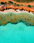 Coral Bay Reef
